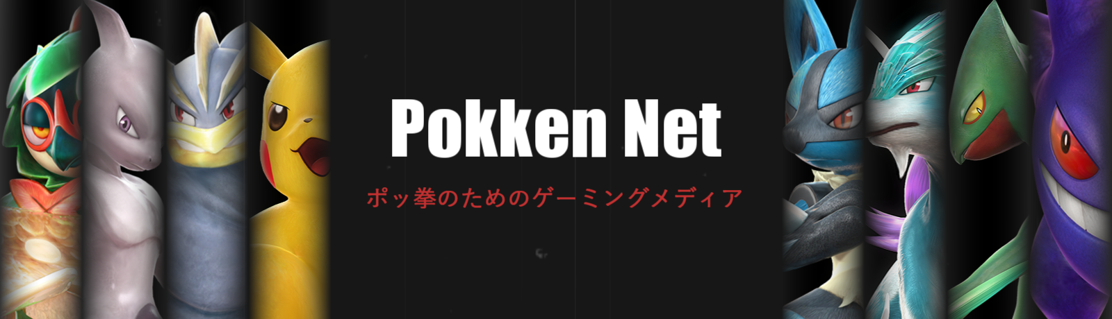 Pokken Net